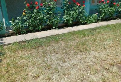 Casă cu 4 camere cu Teren 1700 Mp în Cudalbi - 1