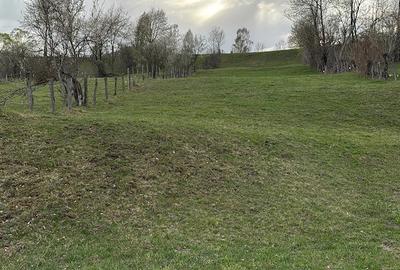 Teren de 6354 mp, în Albești - 2