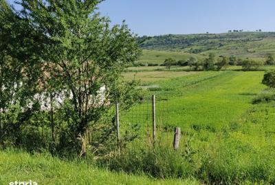 Teren de 4700 mp, în Merghindeal