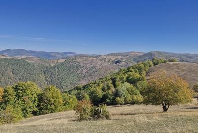 Casă cu 2 camere în Ponoară