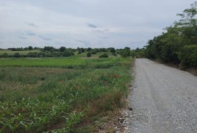 Teren agricol intravilan de 1000 mp, în Măriuța - 2