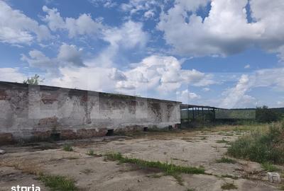 Teren de 8000 mp, în Dragomirești - 3