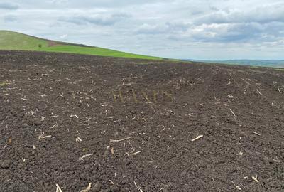 Teren agricol extravilan de 10200 mp, în Țagu - 7