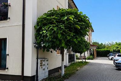 Apartament cu 3 camere decomandat în Giroc