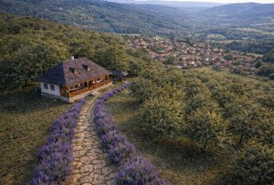 Teren de 7000 mp, în Dorobanț - 3