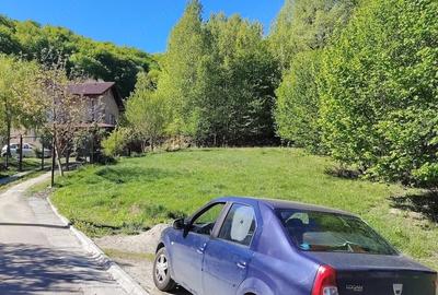 Teren de 1500 mp, în Vlădești - 3