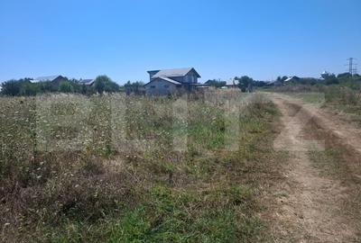 Teren Construcții extravilan de 3000 mp, în Dumbrava
