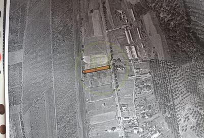 Teren Construcții intravilan de 2000 mp, în Reghin - 2