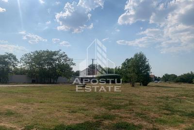 Teren Construcții intravilan de 3840 mp, în Turnu - 2
