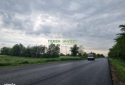 Teren de 54000 mp, în Frumușani - 1