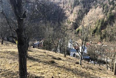 Teren de 5062 mp, în Voineasa - 10
