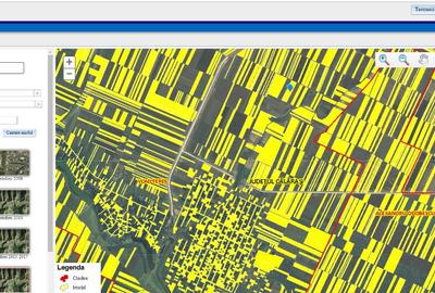 12 Ha Teren Agricol Vlad Tepes CL 12 Ha Teren Agricol Vlad Tepes CL - 5