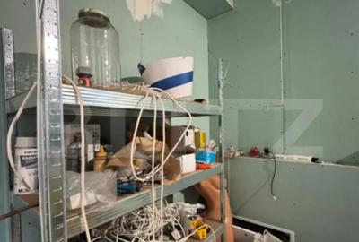 Casă cu 4 camere cu Teren 292 Mp în Haliu - 3