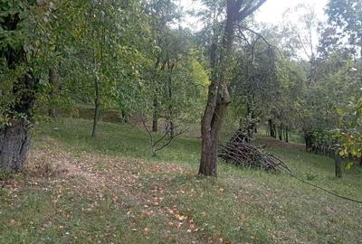 Casă cu 3 camere în Secăria - 8