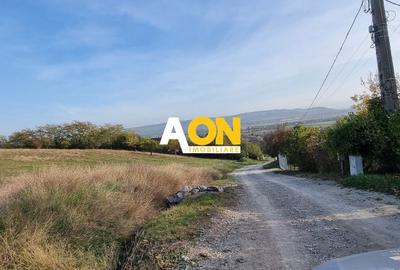 Teren Construcții intravilan de 5500 mp, în Pâclișa - 3