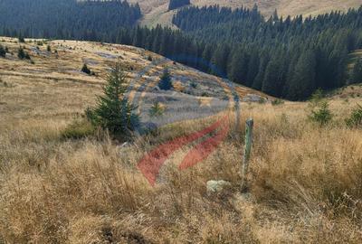 Teren Construcții intravilan de 1000 mp, în Central - 1