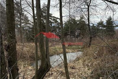 Spațiu comercial, în Prundu Bârgăului - 2