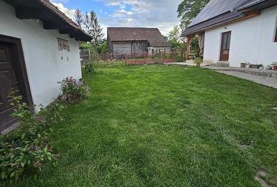 Casă cu Teren 3500 Mp în Zălan - 4
