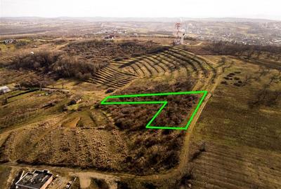 Teren intravilan de 3464 mp, în Podgoria - 2