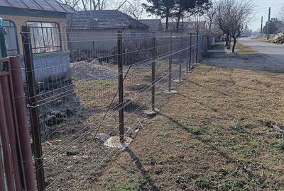 Casă cu Teren 4800 Mp în Balta Doamnei - 4