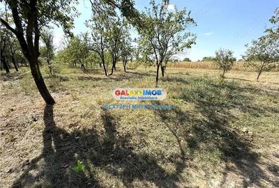 Vanzare teren intravilan Baicoi Central Vanzare teren intravilan Baicoi Central - 8