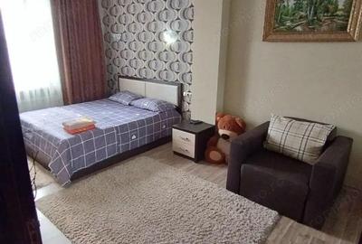 Apartament cu 2 camere în Noua - 3