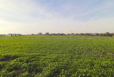 Loturi Intravilane In Rate Berceni | curent gaz asfalt iluminat | #SG1 - 13