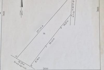 Teren zona Bradu, strada Cetului (in spatele Auchan Bradu) - 1