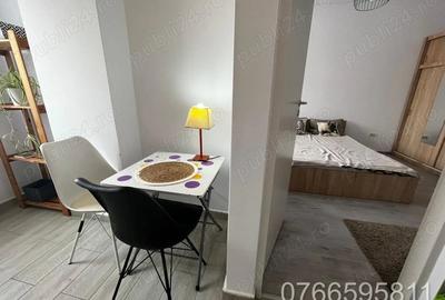 Gars de inchiriat in Grozavesti ,zona Pui de Urs - 2