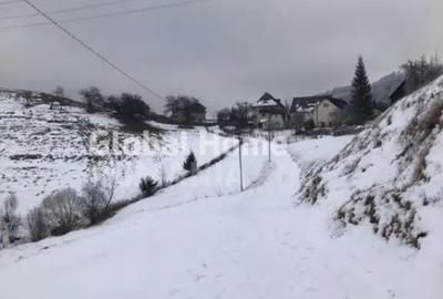 Teren de 725 mp, în Moieciu - 8