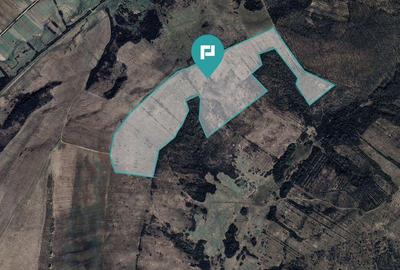 Teren arabil de 40 hectare in Seca?, Timi? - 2