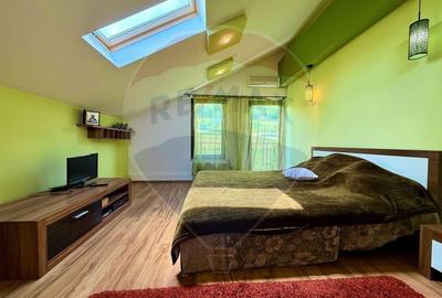 Casa de inchiriat in Hemeius - 5