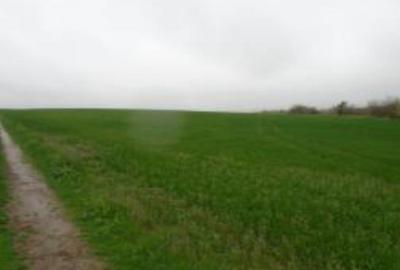 Teren de 12500 mp, în Central - 2