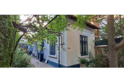 1 Mai Domenii - casa, 4 camere, curte, multiple dependinte, parcare - 5