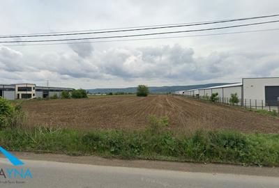 Teren Construcții intravilan de 14000 mp, în Letea Veche
