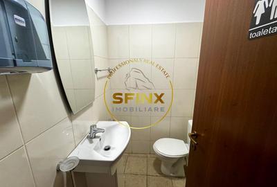 Apartament de inchiriat 5 camere 265 mp Aviatorilor - 4