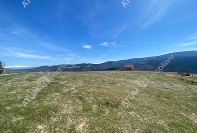 Teren de 3000 mp, în Paltin - 2