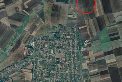 Teren de 40000 mp, în Comloșu Mare