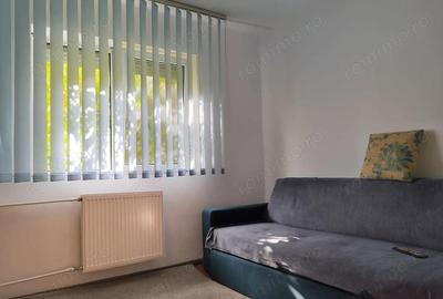 Inchiriere 2 camere aproape de Piata Rogerius, Oradea - 6