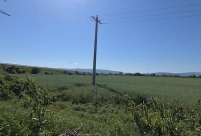 Teren Construcții intravilan de 5255 mp, în Nord - 2