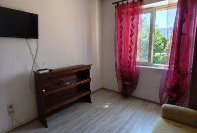 Garsoniera in Astra la etaj intermediar, Bulevardul Stefan cel Mare si Sfant - 3