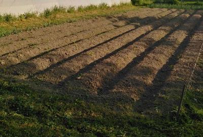 Casă cu 4 camere în Petid - 2