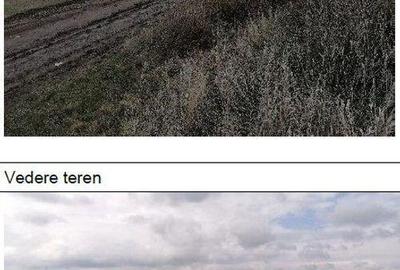 Teren extravilan Tiganasi, cota parte 1/5, ID: R2822453 - 1