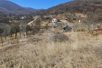 Teren de 1550 mp, în Cetate - 3