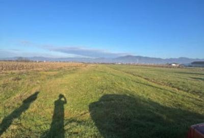 Teren de 1800 mp, în Mocira - 2