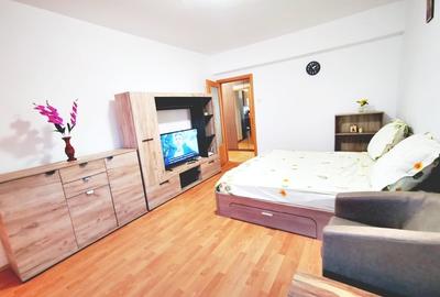 Inchiriere garsoniera ANL Brancusi Valea Oltului  la cateva min metrou Valea Ial - 11