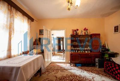 Casa si teren 3365mp Sascut - 7