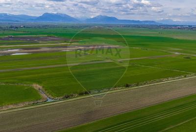 Teren agricol extravilan de 4000 mp, în Stupinii Prejmerului - 12