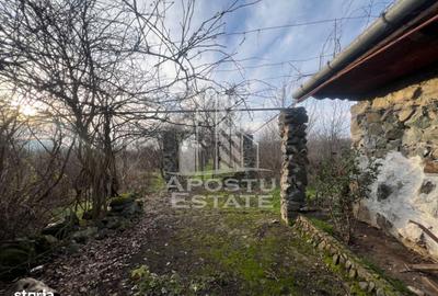 Casă cu 4 camere în Remetea Mică - 1