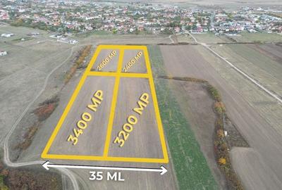 Teren arabil Intravilan 11600mp | LmP | Remetea Mare | COM 0% - 1